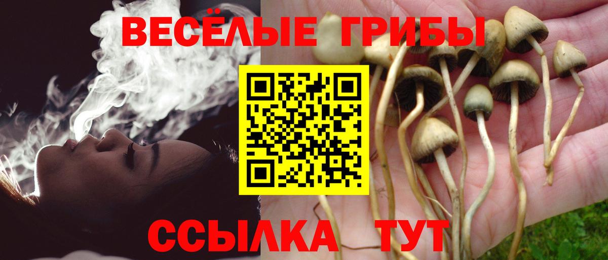 Галлюциногенные грибы мицелий Белая Калитва