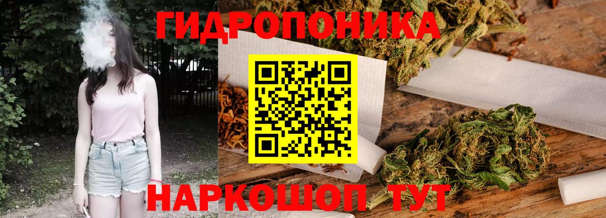 Бошки марихуана Bruce Banner  Шишки марихуана White Widow  Белая Калитва  Шишки марихуана план  Вход с VPN  Бошки марихуана индика 